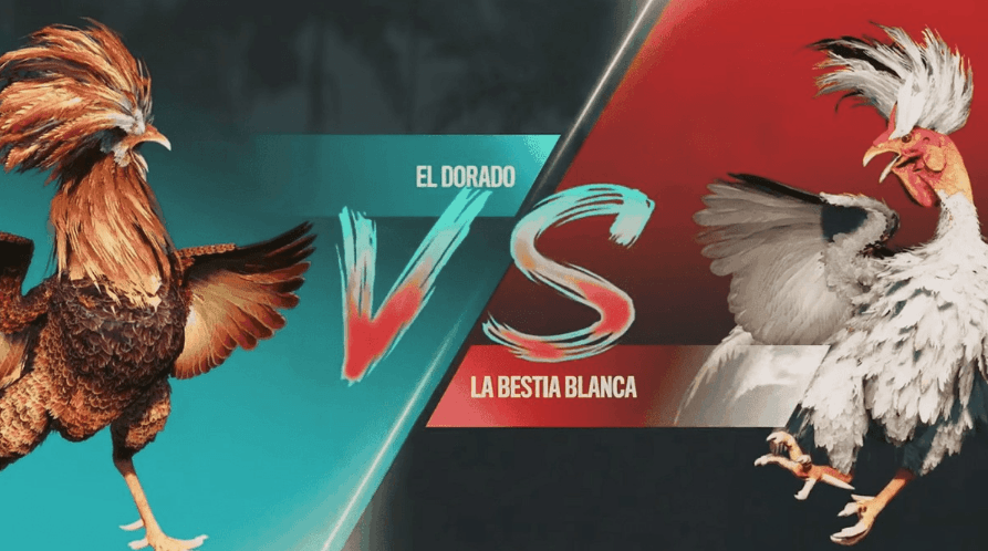 3537 Apostas Online e Slots Populares
